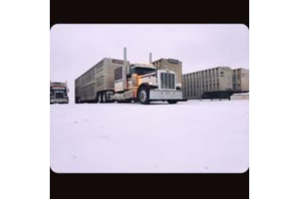 B&R Transportation