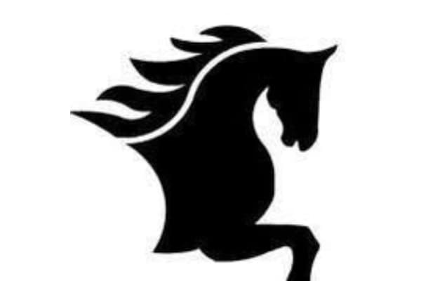 Weddle Training Stables