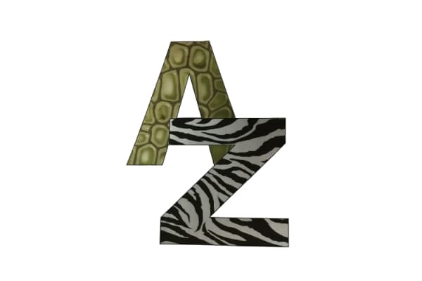 A to Z Veterinary Clinic