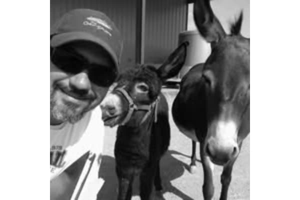 Equine Veterinary Services: Ramos Jose A DVM
