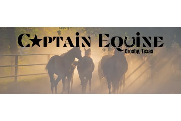 Captain Equine Horseback Riding School