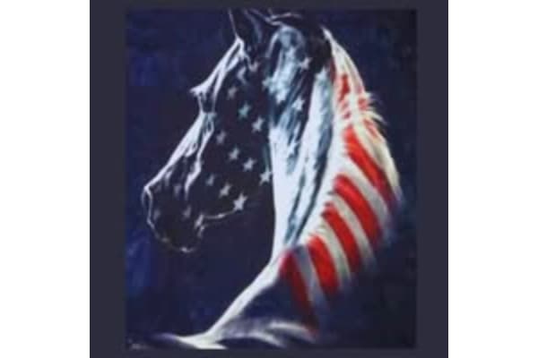 CM Equine Appraisal & Consulting