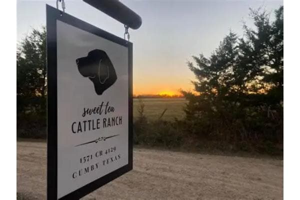 Sweet Tea Cattle Ranch