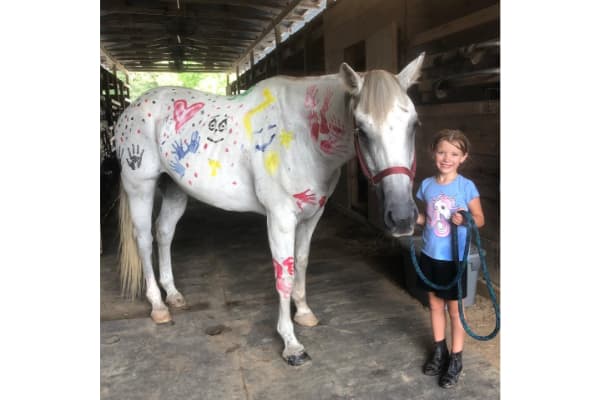 Stone Hollow Stables