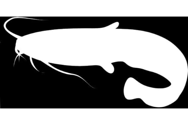 CatfishKiller Professional Guide Service