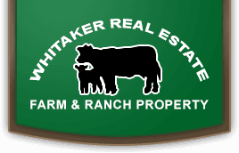 Whitaker Real Estate