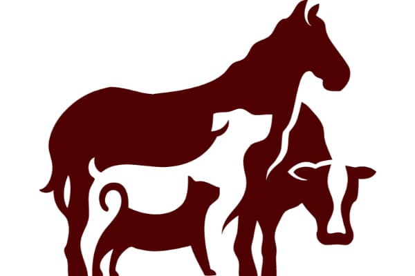Greenville Animal Hospital