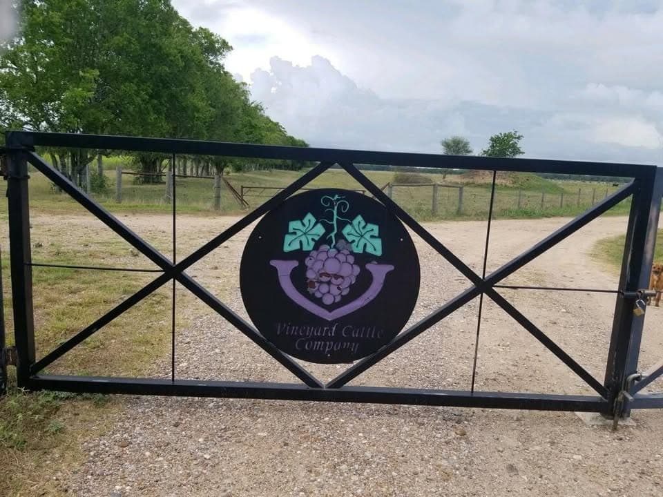 Vineyard Cattle Company