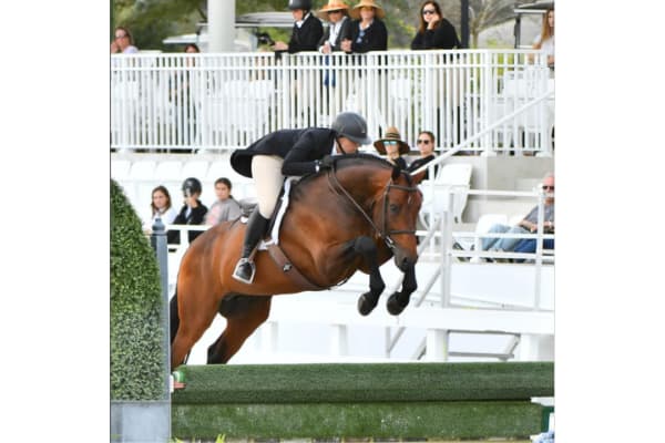 Whitehedge Farm, LLC