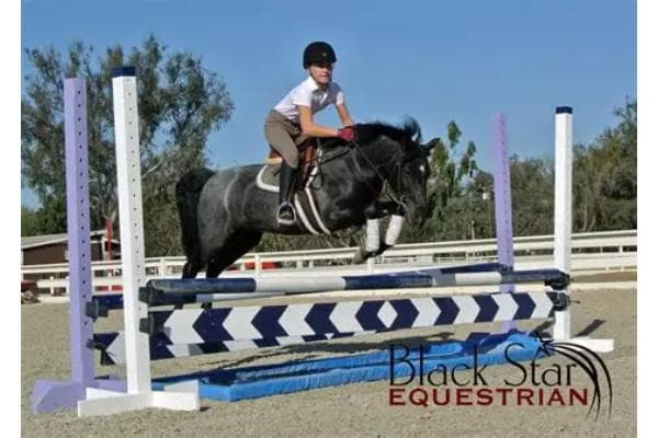 Black Star Equestrian Center
