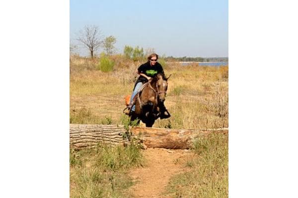 Agave Hurricane Trail Company