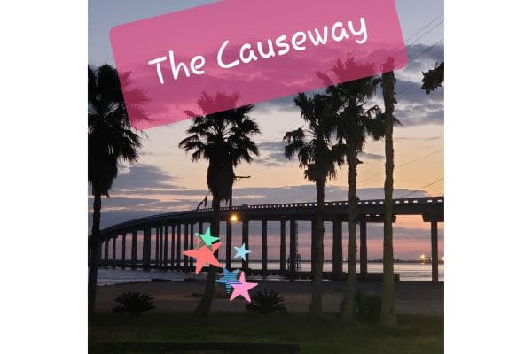SGS Causeway Bait & Tackle