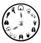 Country Critters Farm