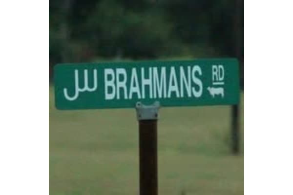 JW Brahmans