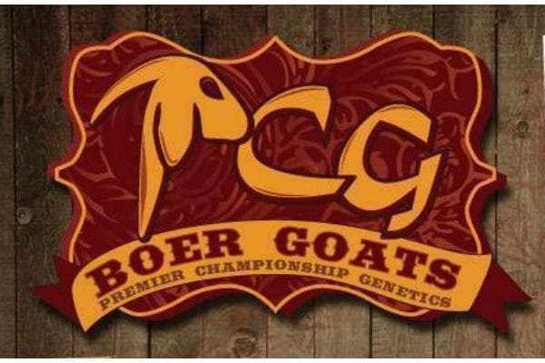 PCG Boer Goats