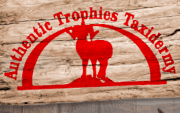 Authentic Trophies Taxidermy