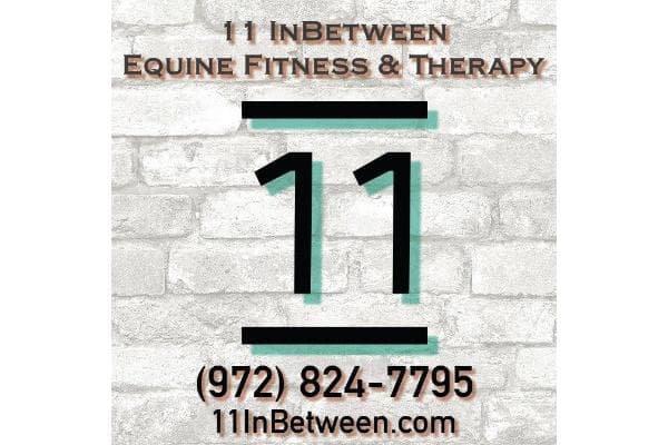 11 InBetween Equine Fitness and Therapy