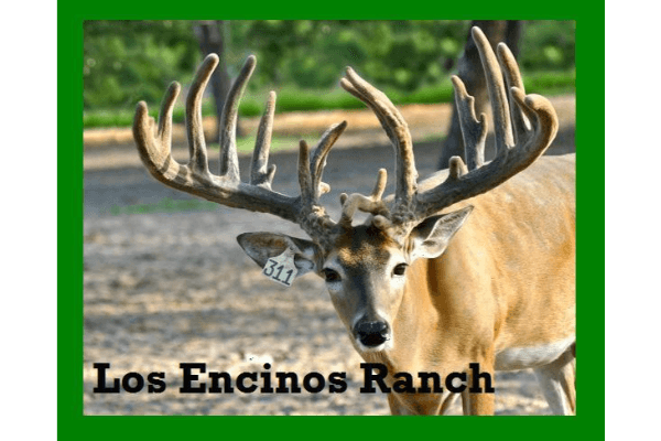 Los Encinos Ranch