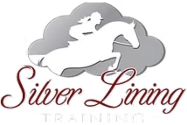 Silver Lining Training gallery 2