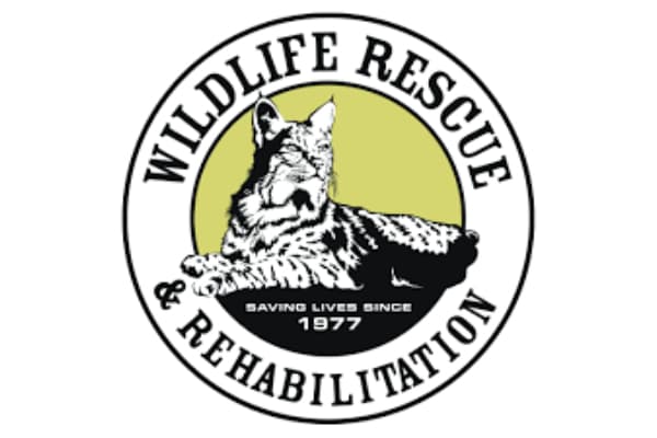 Wildlife Rescue & Rehabilitation
