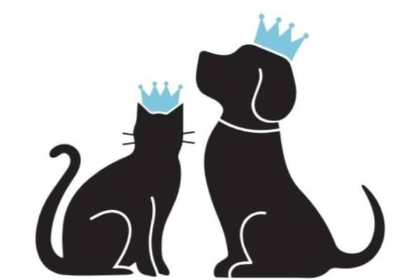 Far West Veterinary Clinic