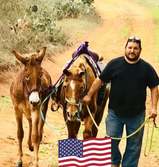 Amazing Grace Equine Transport