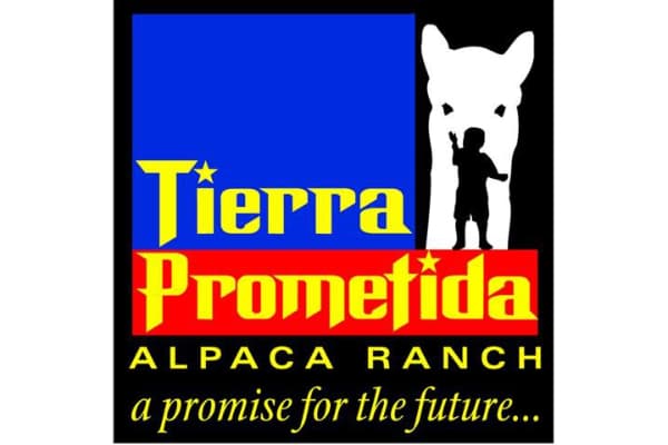 Tierra Prometida Alpacas