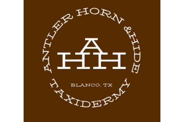 Antler Horn & Hide Taxidermy