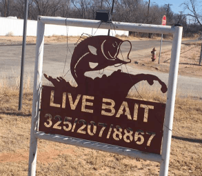 Lloyd's Live Bait Shop