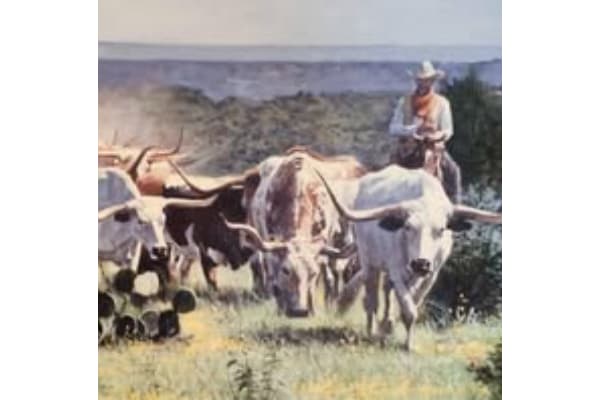 Texas Longhorn Roundup