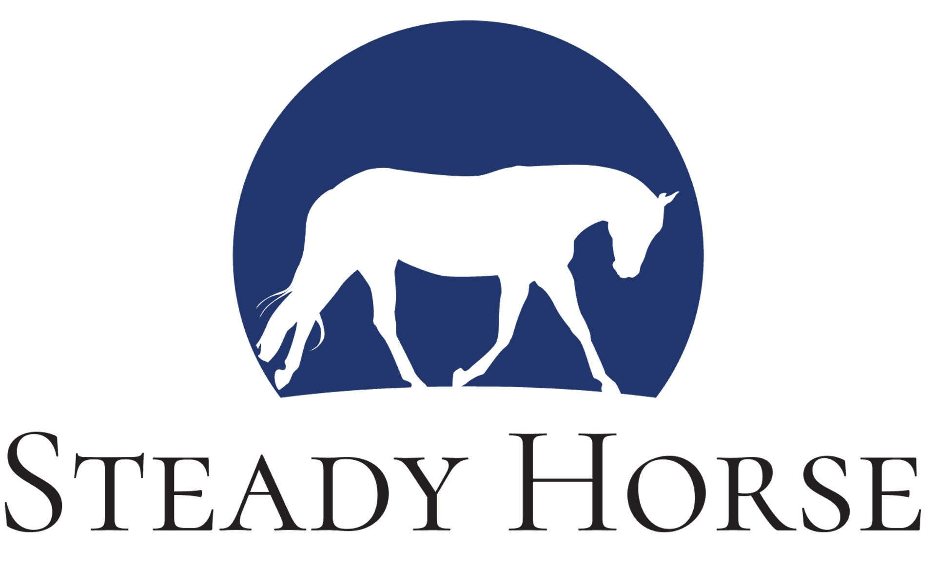 Steady Horse