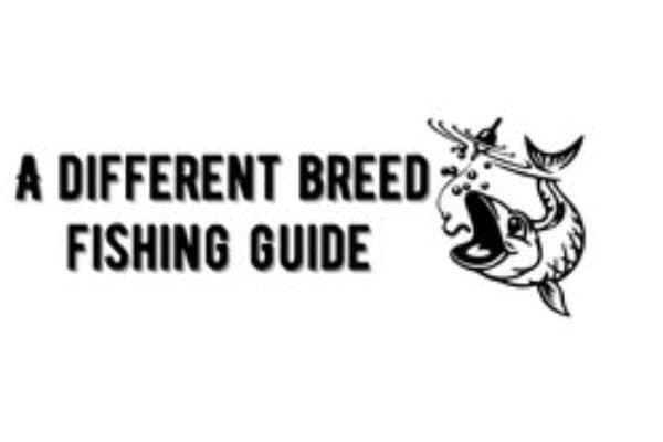 A Different Breed Fishing Guide