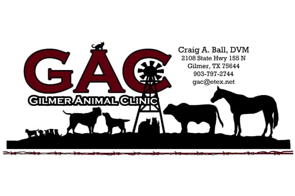 Gilmer Animal Clinic