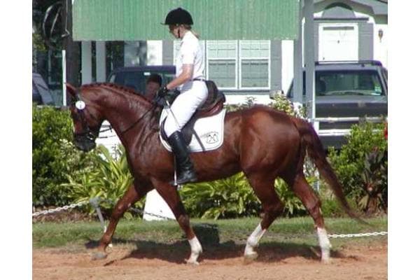 Turkey Creek Stables Inc