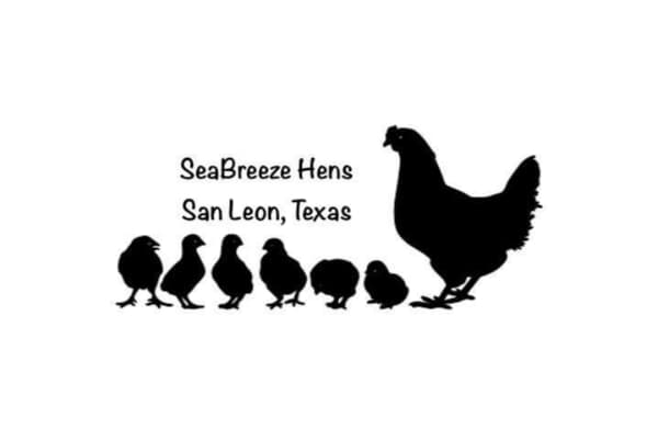 SeaBreeze Hens