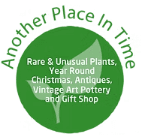 Another Place in Time