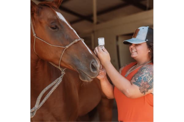 Diamond GM Equine Veterinary Services