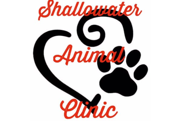 Shallowater Animal Clinic