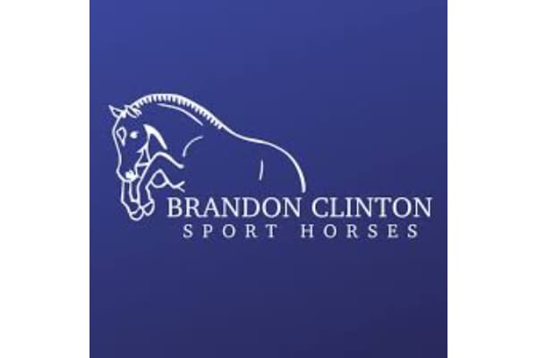 Brandon Clinton Sport Horses