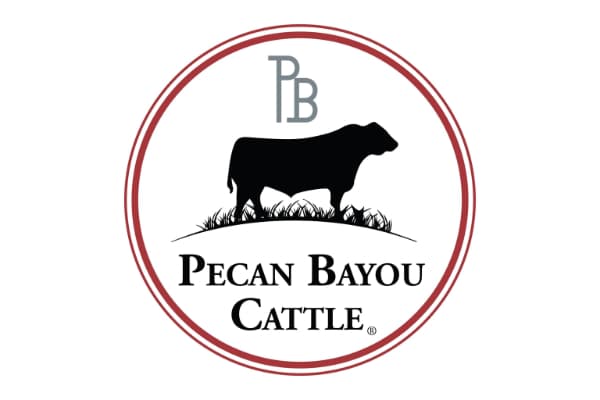 Pecan Bayou Cattle
