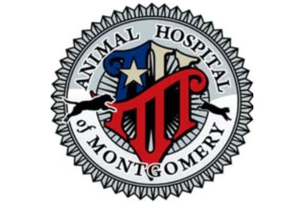 Animal Hospital of Montgomery: Joey L Romero DVM
