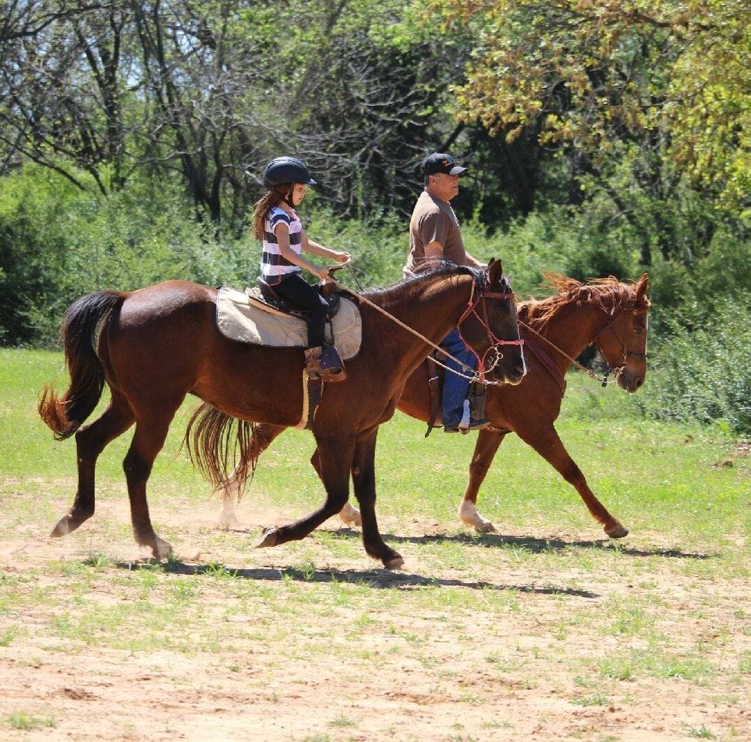 True Horsemanship Seminars