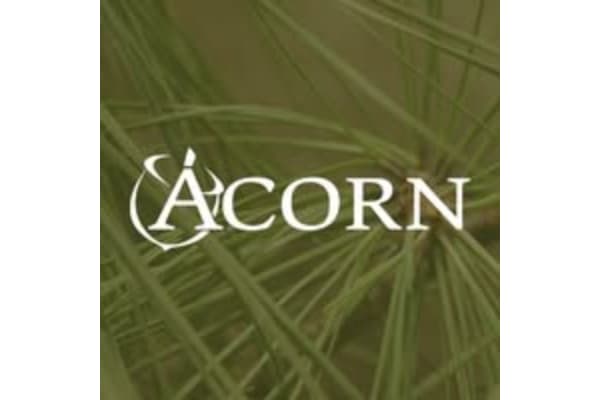 Acorn Forestry