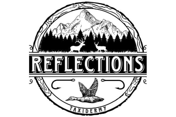 Reflection Taxidermy