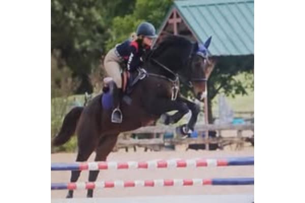 The silver lining training center