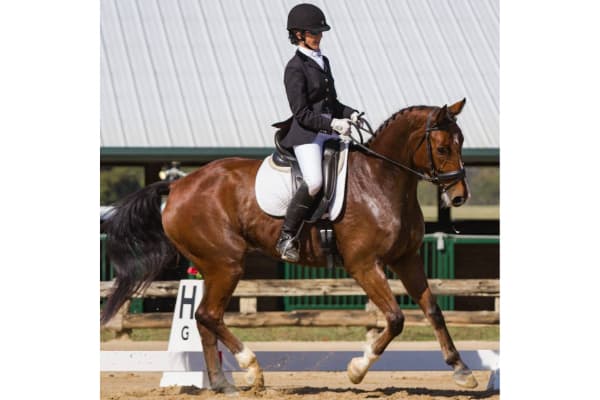 Mary Mahler Dressage