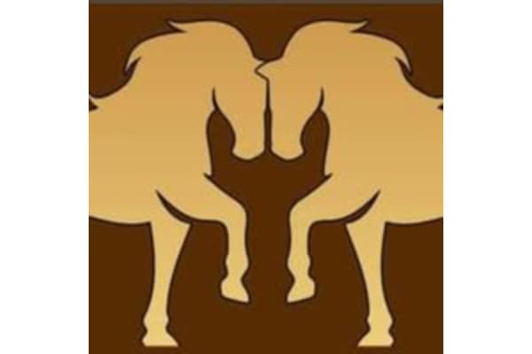 Stallion Western Boutique