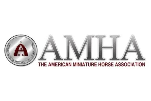 The American Miniature Horse Association