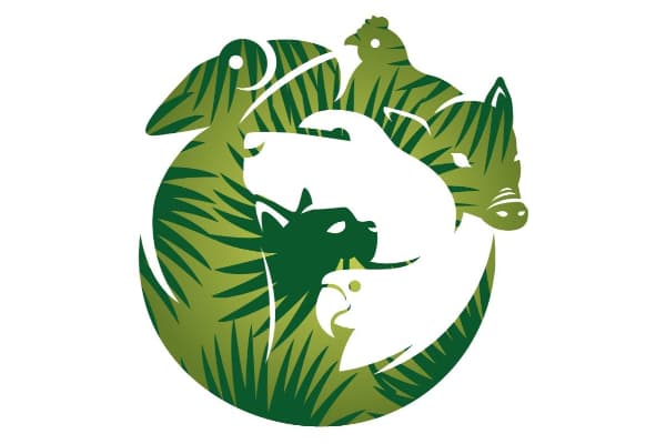 Campeche Cove All Animal Hospital