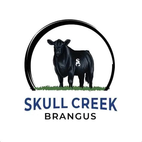 Skull Creek Black Brangus